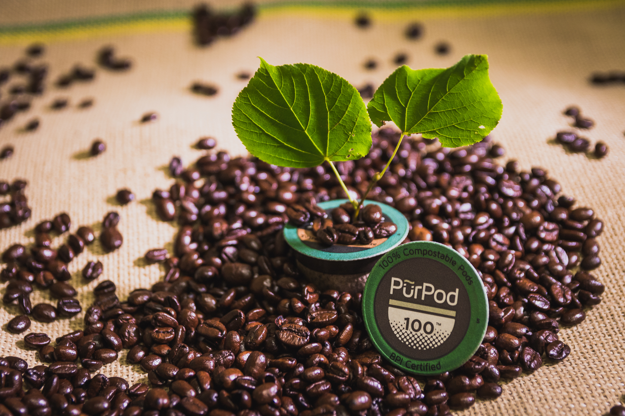 Club Coffee Expands Compostable Innovations Club Coffee